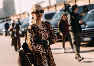 El animal print está de moda, y estos son los únicos básicos que entraron en mi ranking